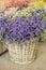 In a wicker basket variety of limonium gmelinii, statice or sea lavender flowers in lavender-blue, white, pink colors in the