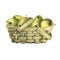 Wicker basket of veneer, filled with fresh green apples.