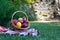 Wicker basket is woven of vines with apples on the background of green grass tablecloth, cloth in a cage towel,yellow red ripe fru