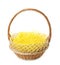 Wicker basket with yellow filler isolated on white. Easter item