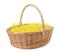 Wicker basket with yellow filler isolated on white. Easter item