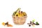 Wicker basket with yellow and green squashes