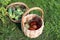 Wicker baskets with cucumbers and tomatoes