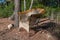 Wicker chair abandoned in the middle of a forest