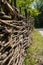 Wicker fence around the garden in sunny day