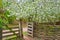 The wicker fence, wooden wicket and tree in blossom, Mamajeva Sloboda Cossack Village, Kyiv, Ukraine