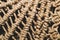 Wicker fibers macro. weaving close up. abstract woven background