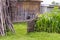 Wicker hedge with cast-iron pot, corn grows