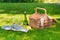 Wicker picnic basket, fruits and bottle of wine with glasses on napkin