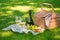 Wicker picnic basket, sandwich, fruits and bottle of wine with glasses on napkin