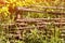 Wicker rustic fence