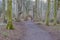 A Wicker Shaped Archway at the Fairy Glen Footpaths at Fullerton Park Near Troon in Scotland