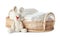 Wicker tray with disposable diapers and toy bunny on background