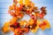 Wicker wreath decorated orange leaves, autumn vegetables