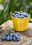 Wicker yellow basket with blueberries on a wooden table in the garden,