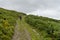 Wicklow way landscape in a cloudy day with a excursionist in the path