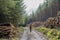 Wicklow way with logs stacked on the sides of the road and excursionist girl in the middle