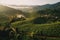 Wide aerial shot of a lush coffee plantation surrounded by rolling hills and misty mountains, capturing the scenic beauty and