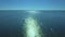 Wide aerial view : Ocean full with sailing boats.