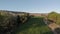 Wide aerial view of young Rapeseed crop plantation on a bright sunny day