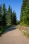 Wide aggregate walking path at Mt Rainier with stone wall evergreen trees, and blue sky