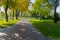 A wide alley in the park is paved with tiles with green lawns and trees with yellowing foliage on a bright sunny