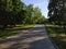 Wide alley in the park in summer in perspective