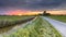 Wide angle agricultural landscape