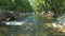 Wide angle of the beautiful river in a wood