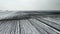 Wide angle footage video of lonely tree during the winter while snowing