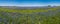 A Wide Angle High Resolution Panoramic View of a Field of Famous Texas Bluebonnets