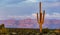 Wide Angle Landscape Sunset Image Of Lone Cactus With Mountains