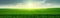 Wide angle panorama of sunlit green wheat field inder blue sky with clouds, minimal landscape. Generative AI illustration