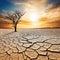 Wide Angle Shot of A Dried Lake With Cracked Ground Due To The Heat Of Climate Illustration