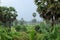 Wide angle shot of the gentle rain showering the lush misty rural countryside of Kampot, Cambodia