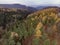 Wide angle shot of several trees of multiple shades growing on a mountain