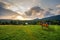 Wide angle shot of a standing alone dark horse in a large meadow with grass grass field landscape against dramatic sunset or