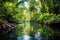 wide-angle shot of a tranquil jungle river bend
