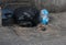 Wide angle shot of two rats looking at a trash bag