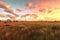 wide-angle shot of vast savanna plains at dusk