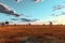 wide-angle shot of vast savanna plains at dusk