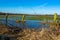 Wide angle shot of wooden sticks and dry plants on the water in a field