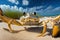 Wide angle view of a crab on the sea shore