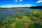 Wide Angle View of Famous Texas Bluebonnet Wildflowers Near the