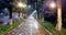 Wide angle view of green tree alley and pedestrian brick road in