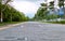 Wide angle view of green tree alley and pedestrian road in Shenzhen