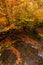 Wide angle view of a river with small waterfalls in the heart of a forest - autumn view with great fall colors