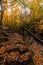 Wide angle view of a river with small waterfalls in the heart of a forest - autumn view with great fall colors