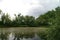 Wide angle view on a tranquil scene of a pond at Durmplassen, Merendree, Belgium with Willow trees, Salix , surrounding