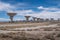 Wide angle view of the Very Large Array observation area in the New Mexico Desert on a sunny day